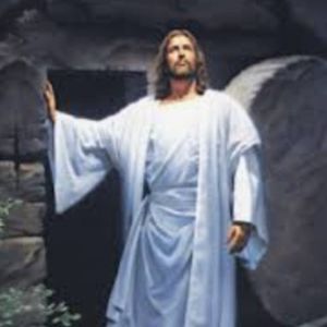 Meet your Posher, Jeff t